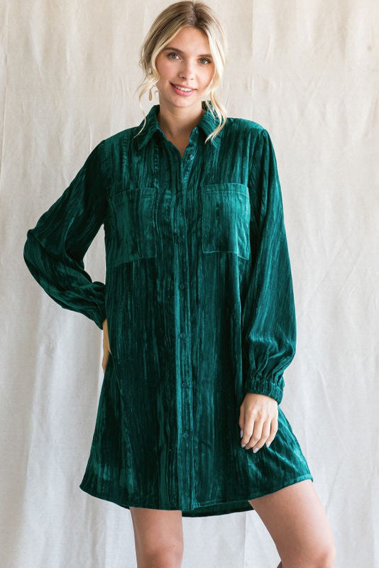 Lush Velvet Collared Dress